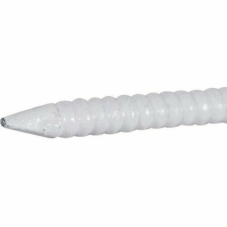 Hillman Common Nail, 1 in L, 2D, White Finish 461527